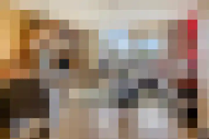 Baaksebeek 56 Zwolle thumbnail 6