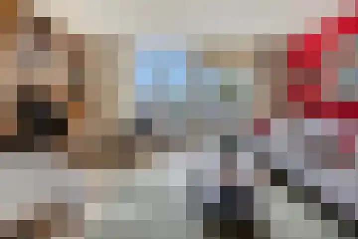 Baaksebeek 56 Zwolle thumbnail 7