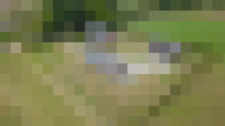 Baaksekampweg 8 Zelhem thumbnail 5