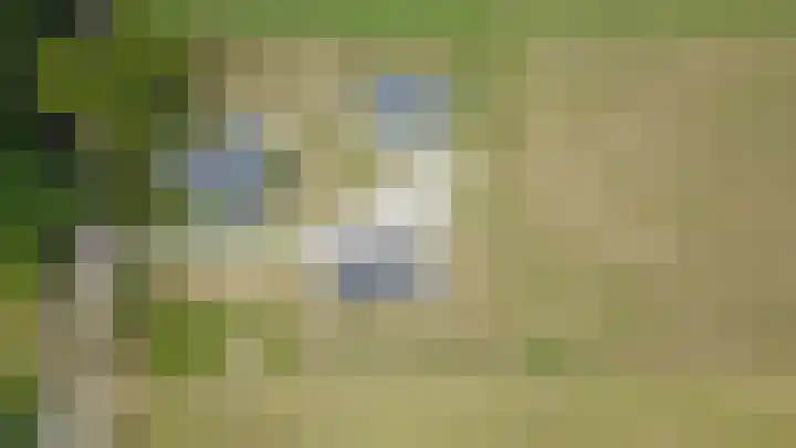Baaksekampweg 8 Zelhem thumbnail 7