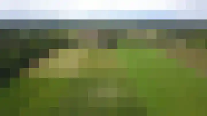 Baaksekampweg 8 Zelhem thumbnail 9