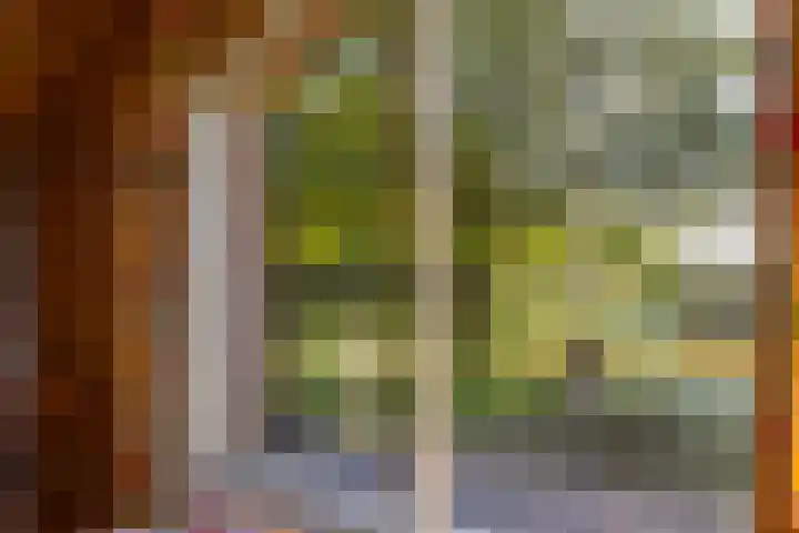 Baaksevoetpad 5 Hengelo (Gld) thumbnail 10