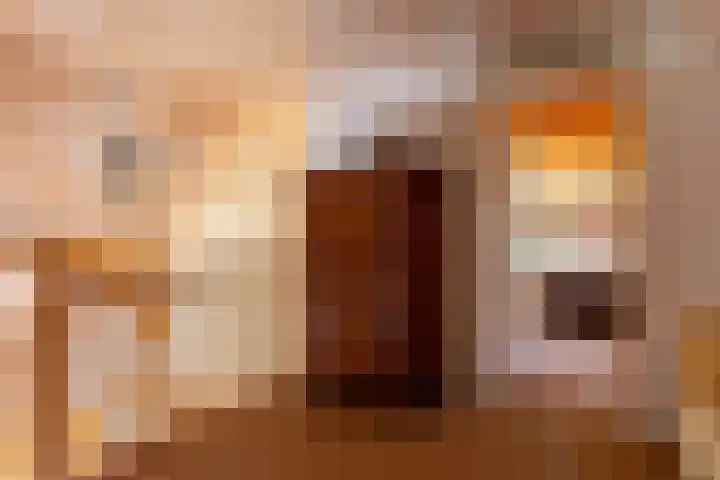 Baaksevoetpad 5 Hengelo (Gld) thumbnail 23