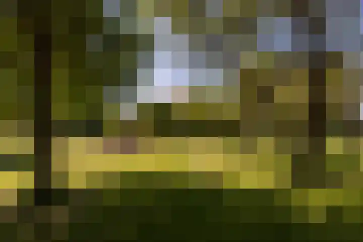 Baaksevoetpad 5 Hengelo (Gld) thumbnail 30