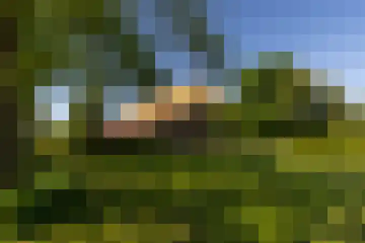 Baaksevoetpad 5 Hengelo (Gld) thumbnail 31