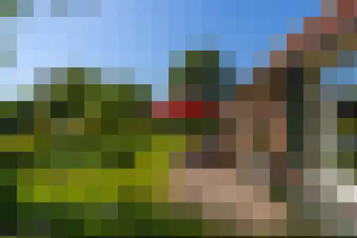 Baaksevoetpad 5 Hengelo (Gld) thumbnail 32