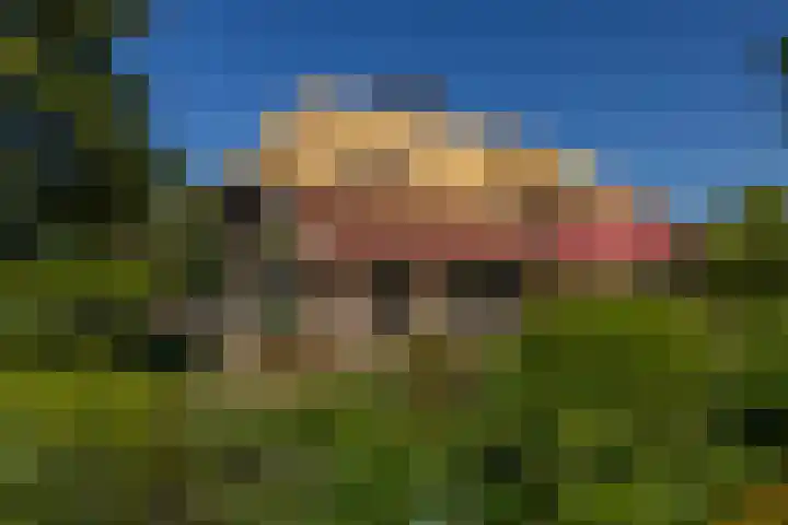 Baaksevoetpad 5 Hengelo (Gld) thumbnail 33