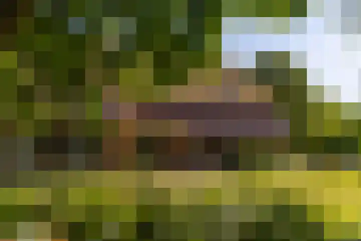 Baaksevoetpad 5 Hengelo (Gld) thumbnail 34