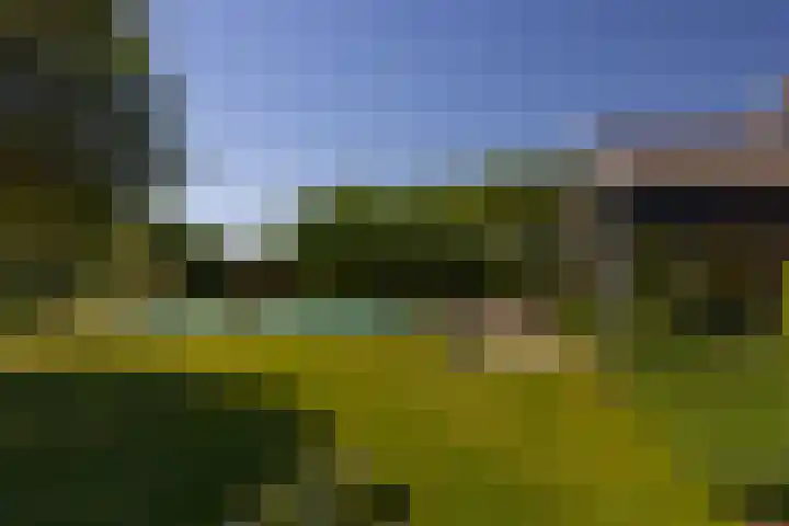 Baaksevoetpad 5 Hengelo (Gld) thumbnail 35