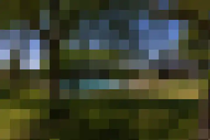 Baaksevoetpad 5 Hengelo (Gld) thumbnail 36
