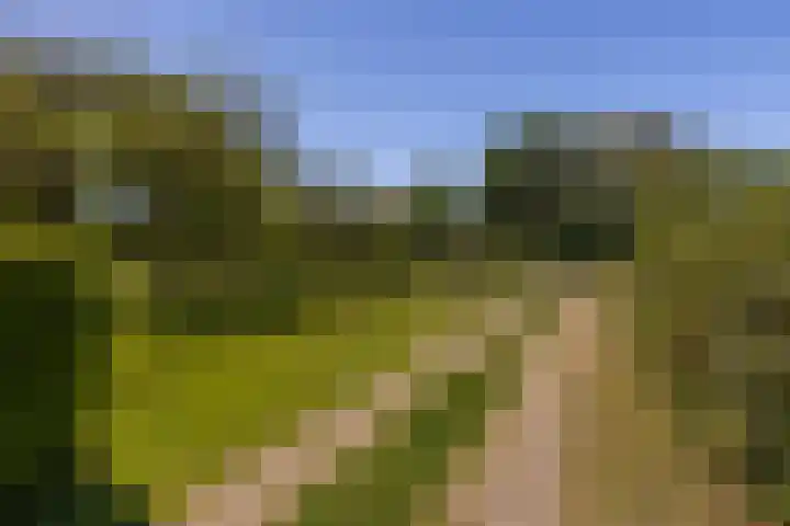 Baaksevoetpad 5 Hengelo (Gld) thumbnail 4