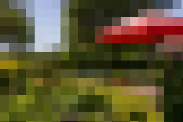 Baaksevoetpad 5 Hengelo (Gld) thumbnail 44