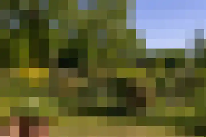 Baaksevoetpad 5 Hengelo (Gld) thumbnail 45