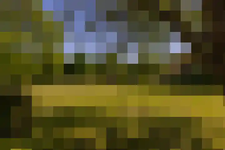 Baaksevoetpad 5 Hengelo (Gld) thumbnail 46