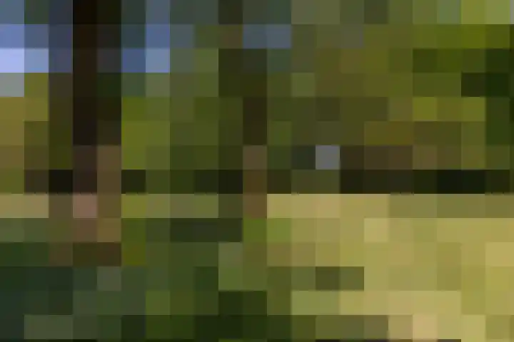 Baaksevoetpad 5 Hengelo (Gld) thumbnail 47