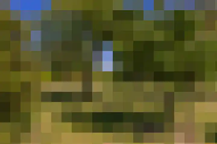 Baaksevoetpad 5 Hengelo (Gld) thumbnail 48