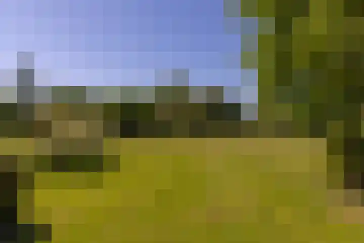 Baaksevoetpad 5 Hengelo (Gld) thumbnail 49