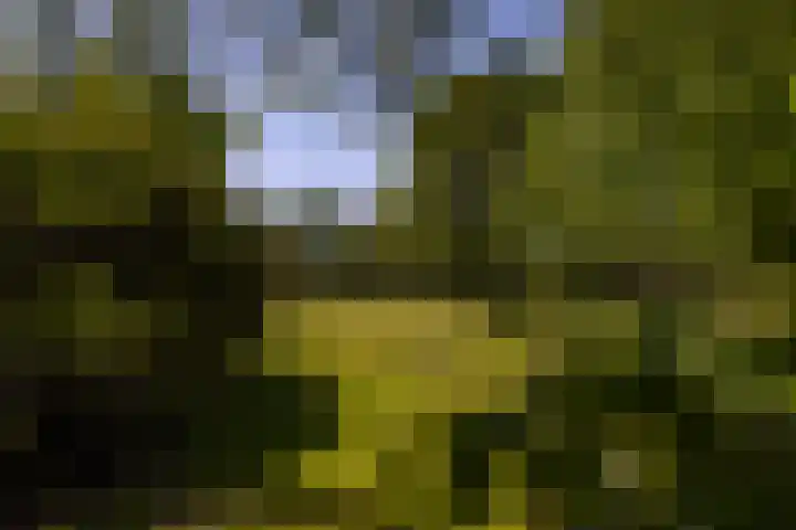 Baaksevoetpad 5 Hengelo (Gld) thumbnail 50