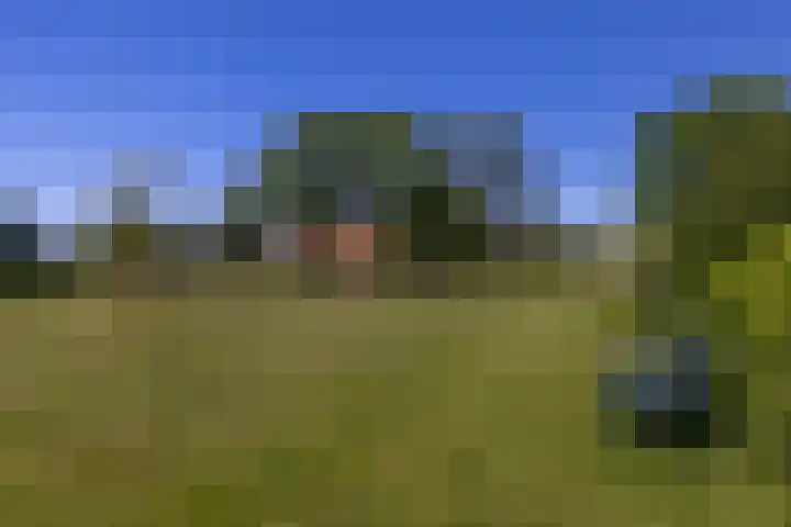 Baaksevoetpad 5 Hengelo (Gld) thumbnail 51