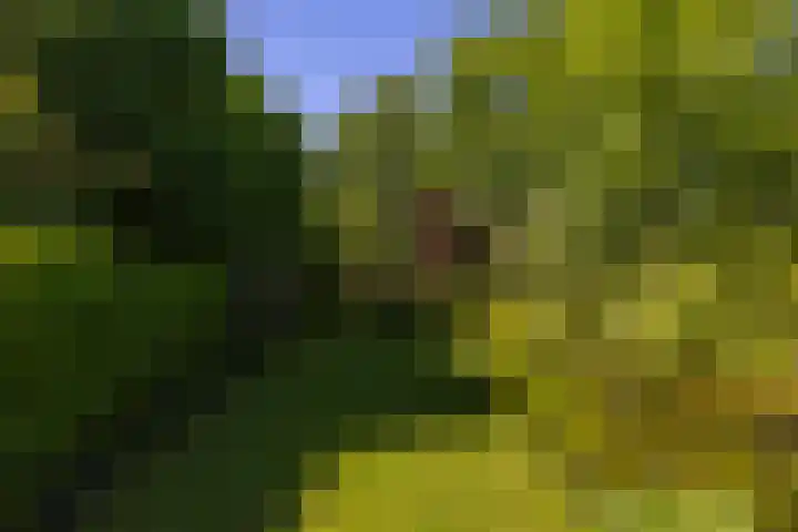 Baaksevoetpad 5 Hengelo (Gld) thumbnail 52