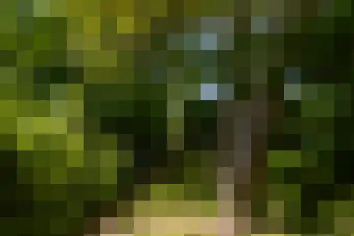 Baaksevoetpad 5 Hengelo (Gld) thumbnail 53