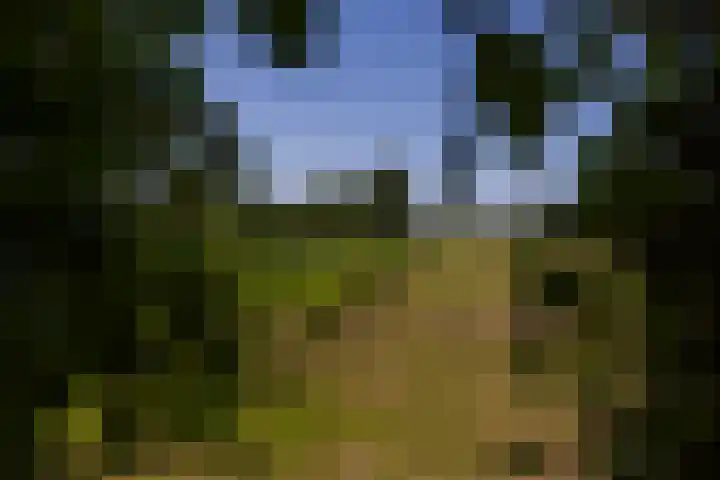 Baaksevoetpad 5 Hengelo (Gld) thumbnail 54