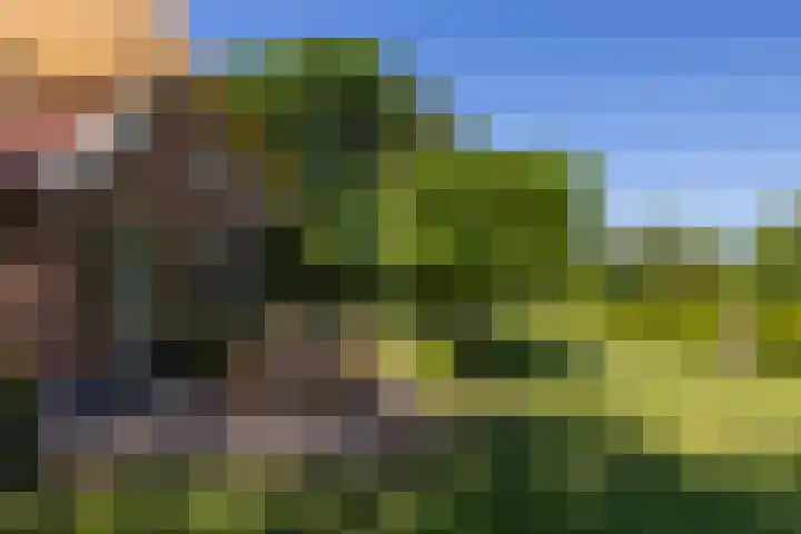 Baaksevoetpad 5 Hengelo (Gld) thumbnail 55