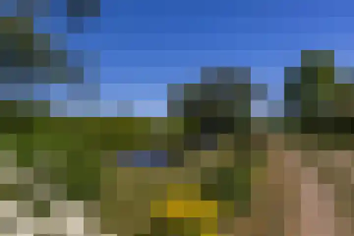 Baaksevoetpad 5 Hengelo (Gld) thumbnail 59