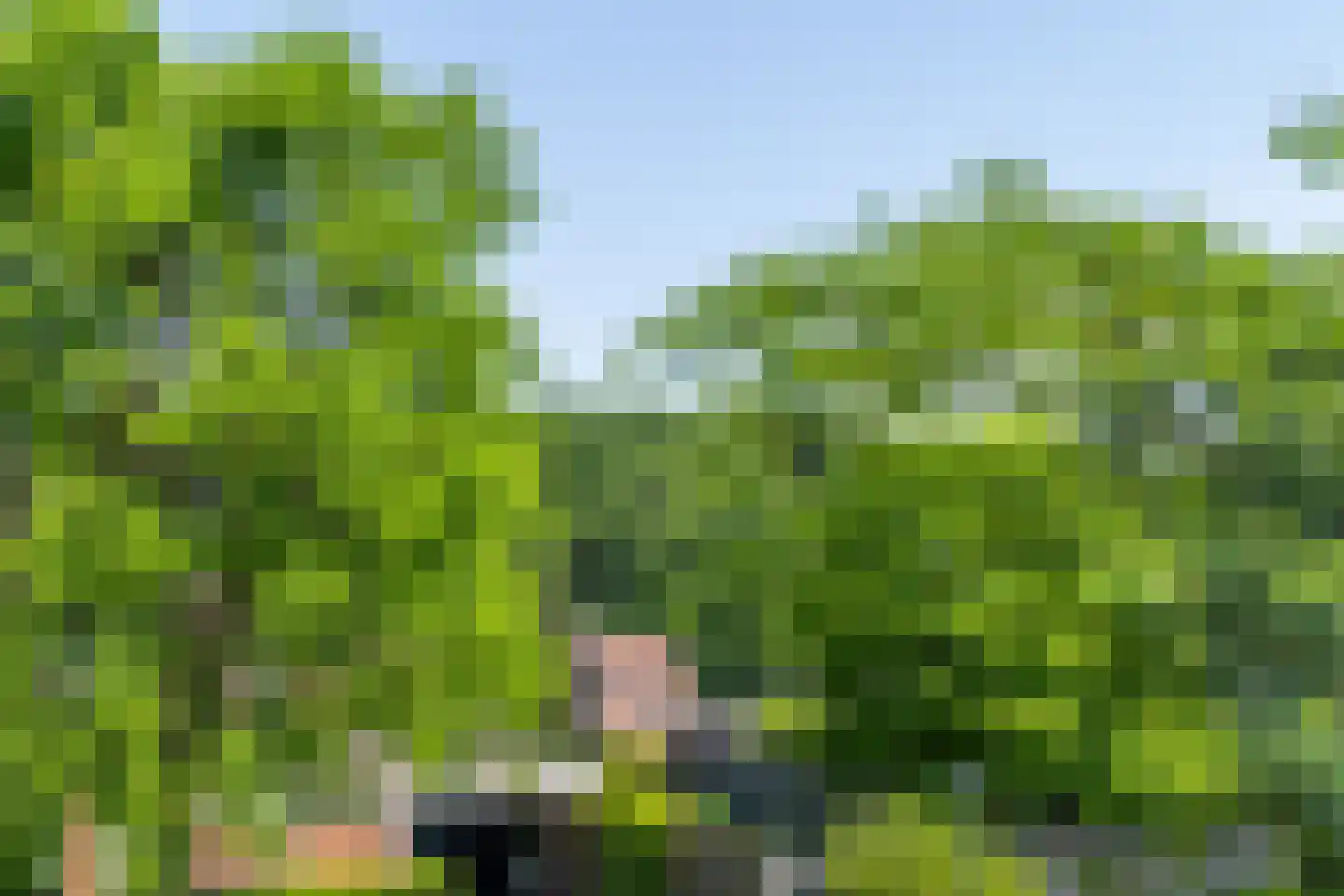Baaksstraat 29 Simpelveld thumbnail 18
