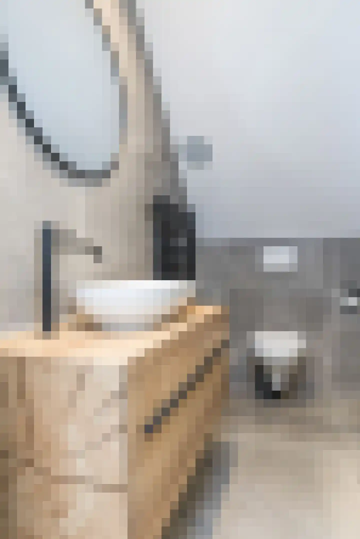 Baaksstraat 29 Simpelveld thumbnail 19