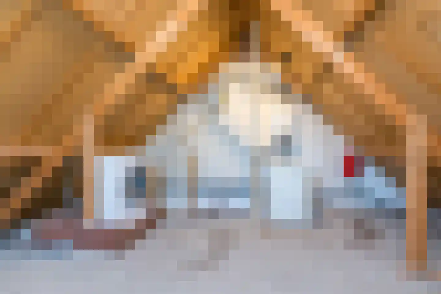 Baaksstraat 29 Simpelveld thumbnail 24