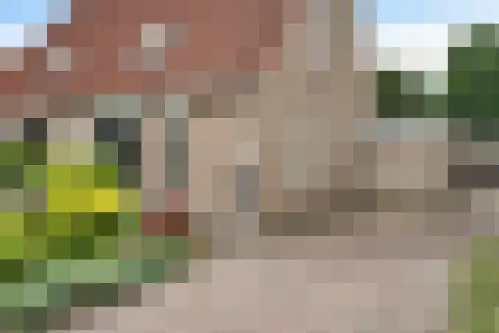 Baalder 33 Heerenveen thumbnail 13
