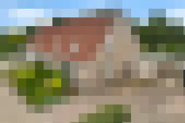Baalder 33 Heerenveen thumbnail 35