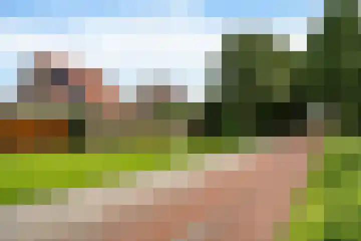 Baalder 33 Heerenveen thumbnail 9