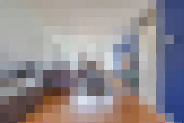 Baalder 9 Delfstrahuizen thumbnail 10