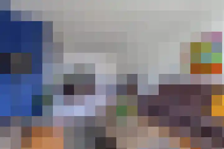 Baalder 9 Delfstrahuizen thumbnail 12