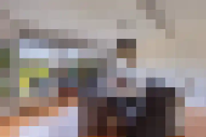 Baalder 9 Delfstrahuizen thumbnail 14