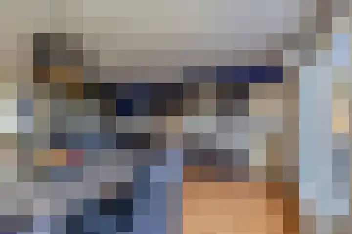Baalder 9 Delfstrahuizen thumbnail 16