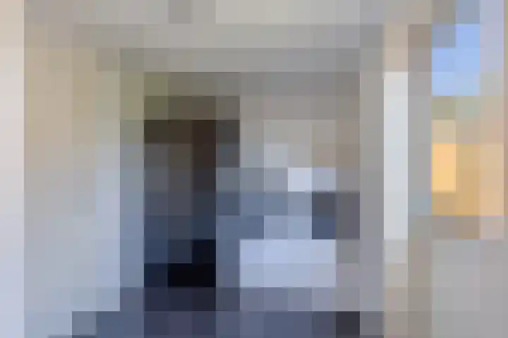 Baalder 9 Delfstrahuizen thumbnail 19