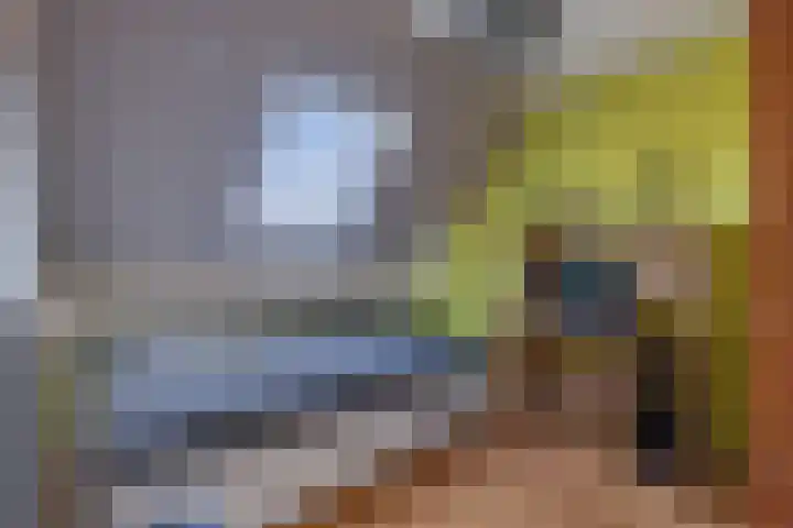 Baalder 9 Delfstrahuizen thumbnail 25