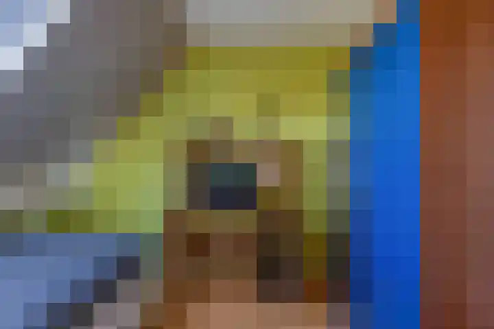 Baalder 9 Delfstrahuizen thumbnail 26