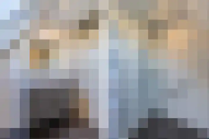 Baalder 9 Delfstrahuizen thumbnail 28