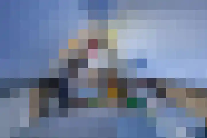 Baalder 9 Delfstrahuizen thumbnail 29
