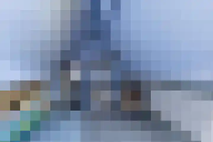 Baalder 9 Delfstrahuizen thumbnail 30