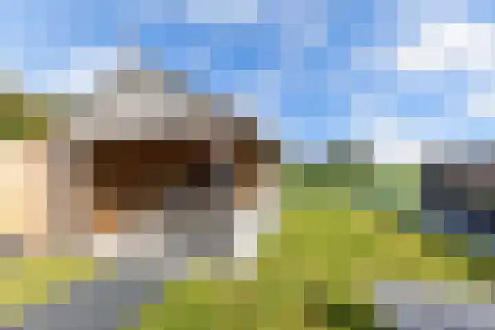 Baalder 9 Delfstrahuizen thumbnail 31