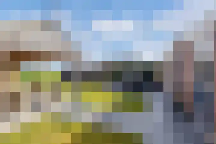 Baalder 9 Delfstrahuizen thumbnail 32