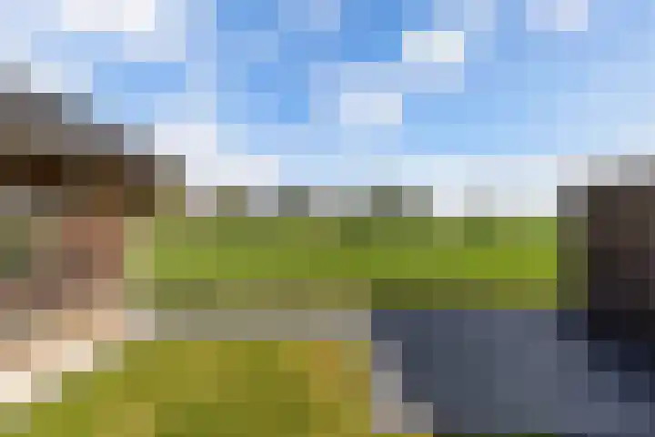 Baalder 9 Delfstrahuizen thumbnail 33