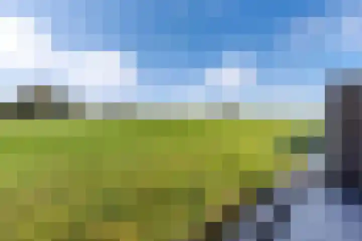 Baalder 9 Delfstrahuizen thumbnail 34