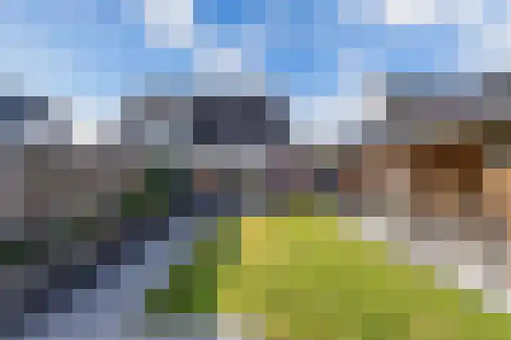 Baalder 9 Delfstrahuizen thumbnail 35
