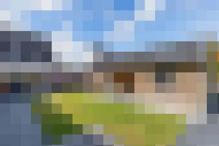 Baalder 9 Delfstrahuizen thumbnail 36